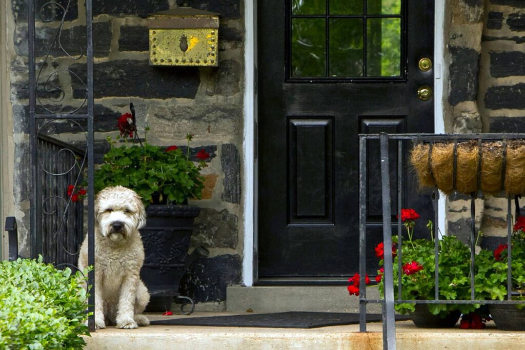 dog waiting at entryway aging in place accessibility