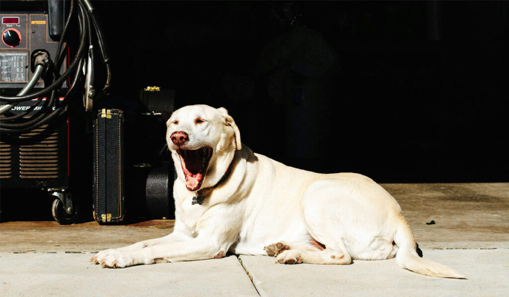 garage tips safety aging in place room accessibility