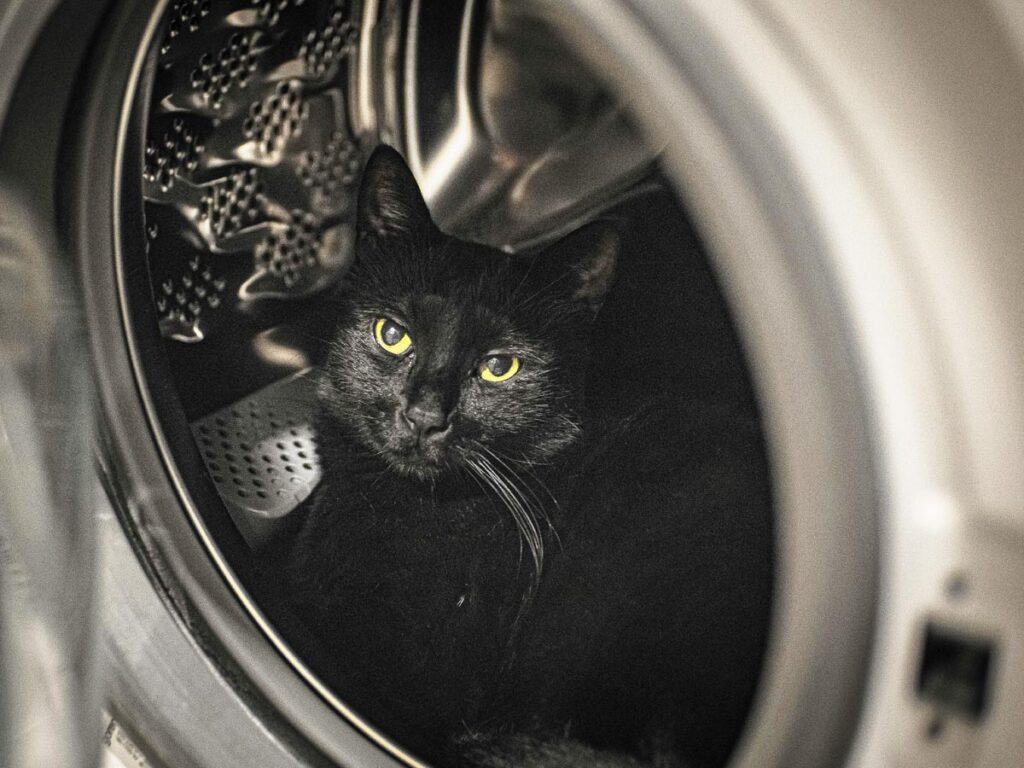 aging in place laundry room design feature tips